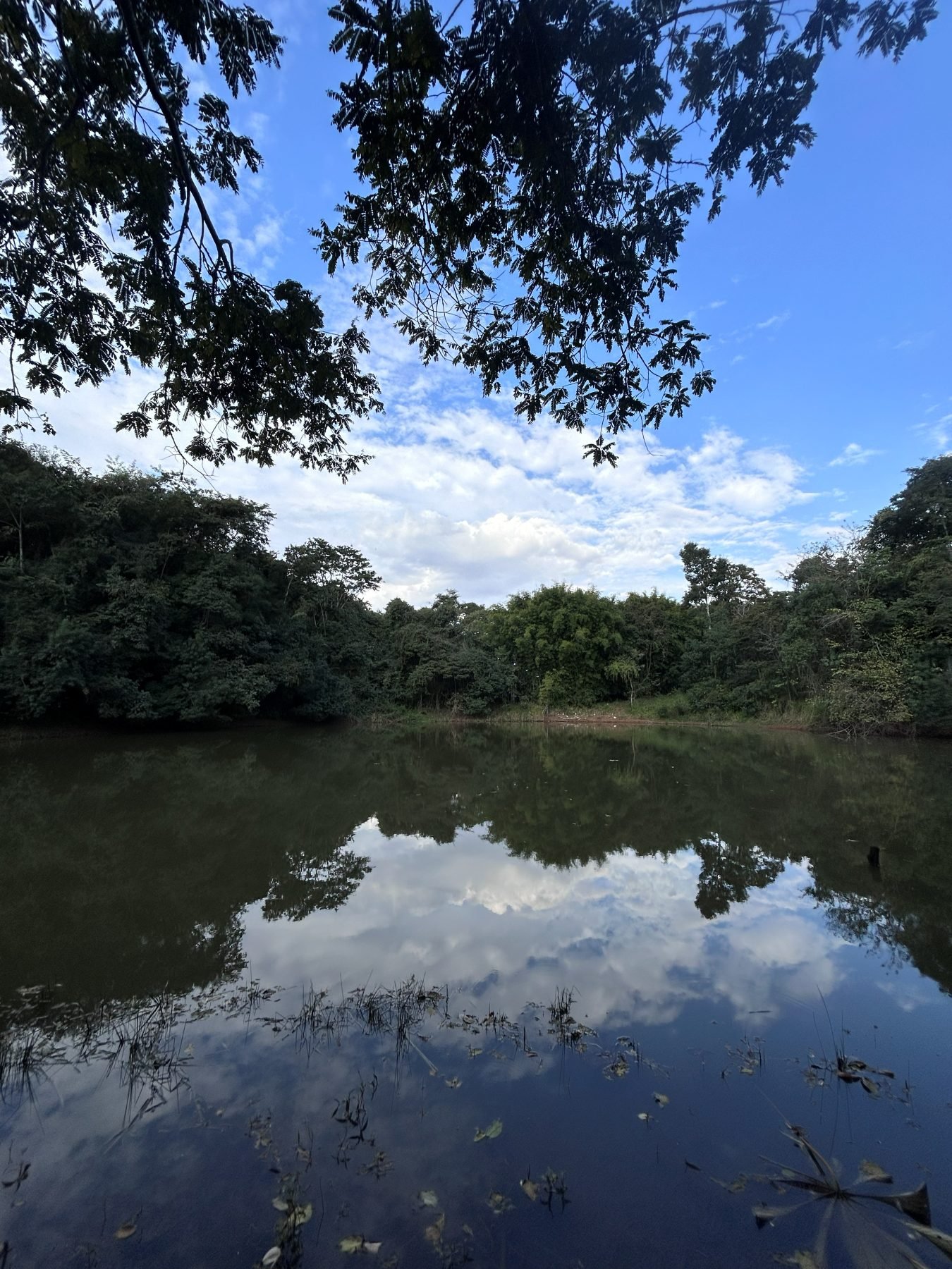 Lago do sítio refletindo o céu e a mata ao redor